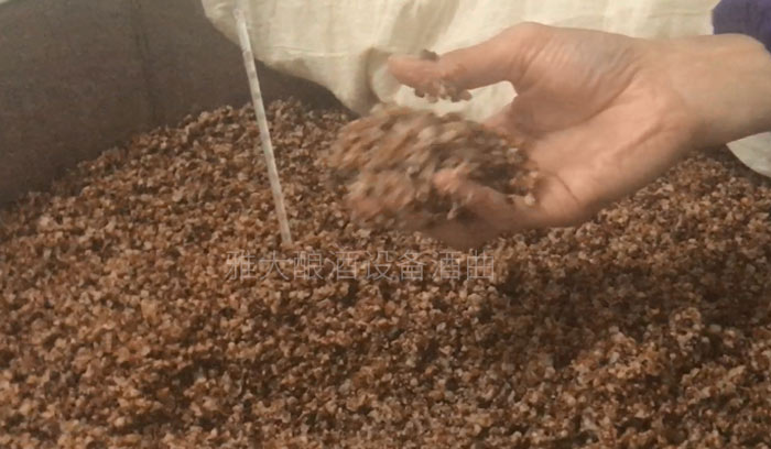 用熟料釀酒設備釀固態酒,真能通過黃水的味道判斷發酵情況?-03-高粱發酵5 用熟料釀酒設備釀固態酒,真能通過黃水的味道判斷發酵情況?-03-高粱發酵5