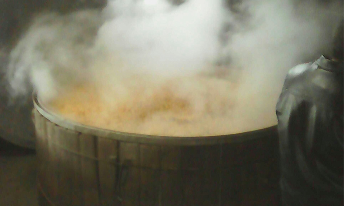 1.27用雅大玉米釀酒設備蒸玉米