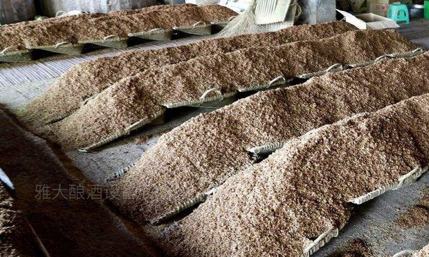都說酒是糧食釀的，那么現在酒廠的酒糟都去哪里了？