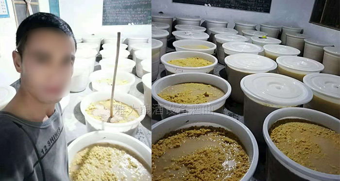 玉米釀酒設備做的生料玉米酒口感真的有那么差么?-05-玉米生料釀酒 玉米釀酒設備做的生料玉米酒口感真的有那么差么?-05-玉米生料釀酒