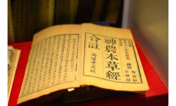 蒼耳對(duì)治療鼻炎，鼻竇炎有一定的效果