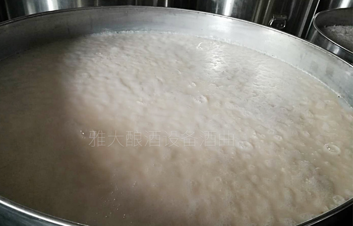 不銹鋼全自動釀酒設備做大米酒發酵中