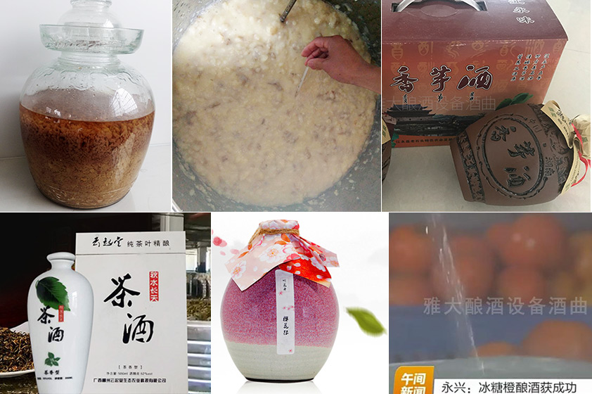 幫助學員研發各種特色酒
