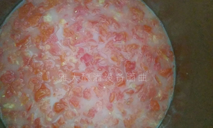 西紅柿發酵第3天