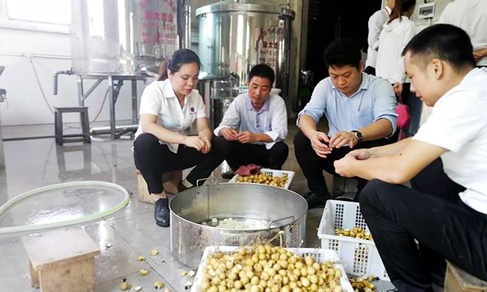 雅大技術團隊在制作龍眼酒 雅大技術團隊在制作龍眼酒