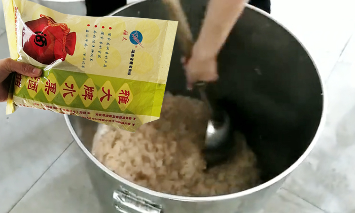 龍眼釀酒加雅大水果酒曲發酵 龍眼釀酒加雅大水果酒曲發酵