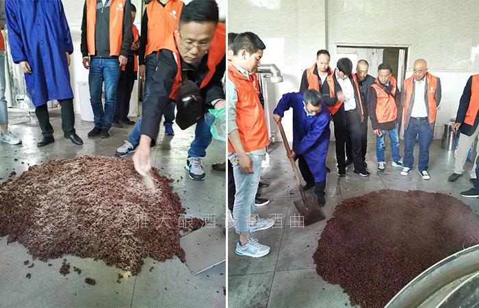 在雅大釀酒車間親自動手實際操作釀酒 在雅大釀酒車間親自動手實際操作釀酒