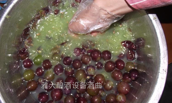 17-終于知道紅葡萄酒和白葡萄酒差在哪了-在家不用蒸酒設備都可以做3 17-終于知道紅葡萄酒和白葡萄酒差在哪了-在家不用蒸酒設備都可以做3