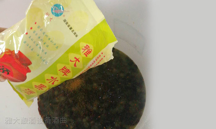 4-「釀酒教學(xué)報(bào)道」雅大酒廠釀酒設(shè)備葡萄酒實(shí)操課進(jìn)行中3加入酒曲 4-「釀酒教學(xué)報(bào)道」雅大酒廠釀酒設(shè)備葡萄酒實(shí)操課進(jìn)行中3加入酒曲