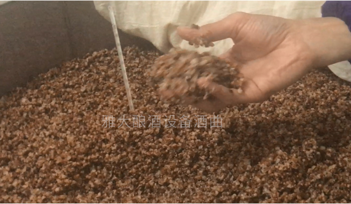 14-發酵溫度 14-發酵溫度
