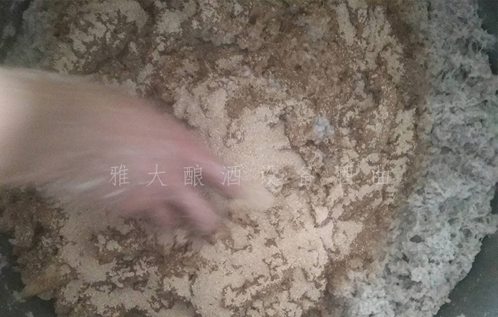 18.11-農村又一波野果朝我們奔來,趕緊用釀酒設備白酒將它們釀成酒吧!4 18.11-農村又一波野果朝我們奔來,趕緊用釀酒設備白酒將它們釀成酒吧!4