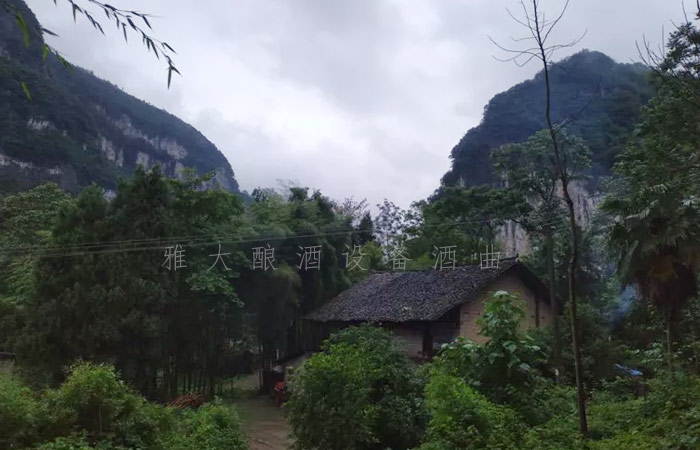 8.25-兵哥哥用雅大制酒設備釀出湄江招牌旅游產品,月凈賺3萬1 8.25-兵哥哥用雅大制酒設備釀出湄江招牌旅游產品,月凈賺3萬1