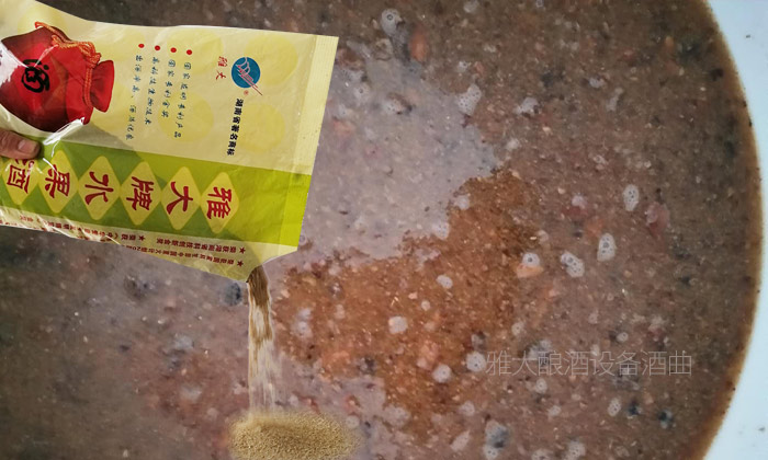 13-金櫻子5 13-金櫻子5