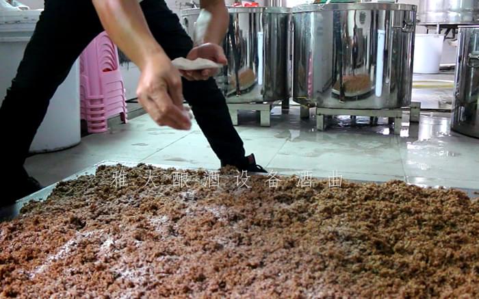 9.12特色酒研發大米酒我見過但用雅大釀酒設備釀五色米酒你見過嗎6