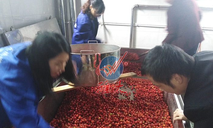 將海棠果清洗干凈、瀝干水份 將海棠果清洗干凈、瀝干水份