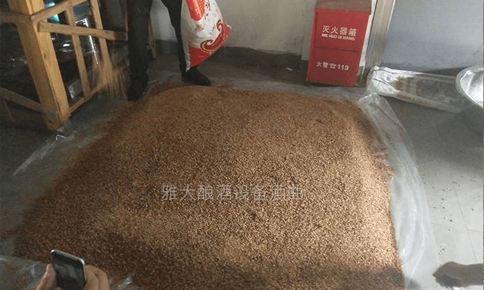 圖片1 圖片1