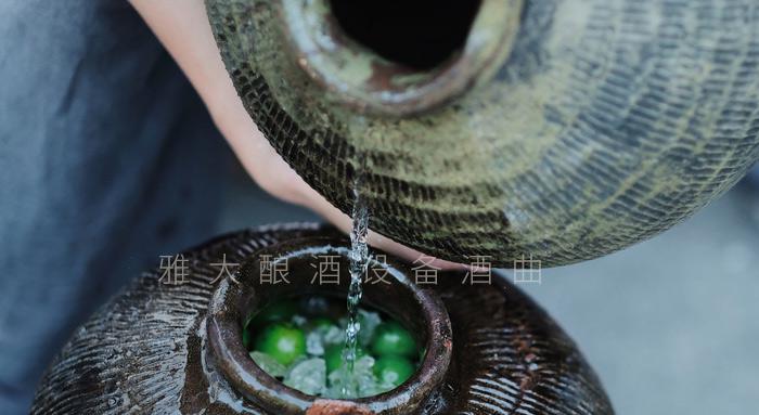 弄1套小型釀酒設備200型，回家用青梅煮酒（附青梅釀酒技術） 2