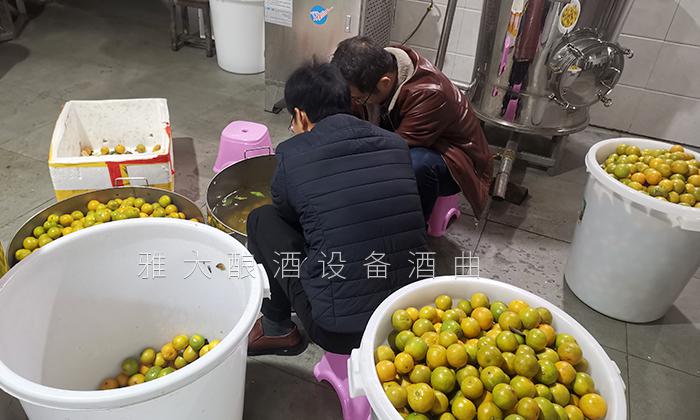 2020年做什么賺錢快?這些人都用果酒釀酒設備開了特色酒坊 8 2020年做什么賺錢快?這些人都用果酒釀酒設備開了特色酒坊 8