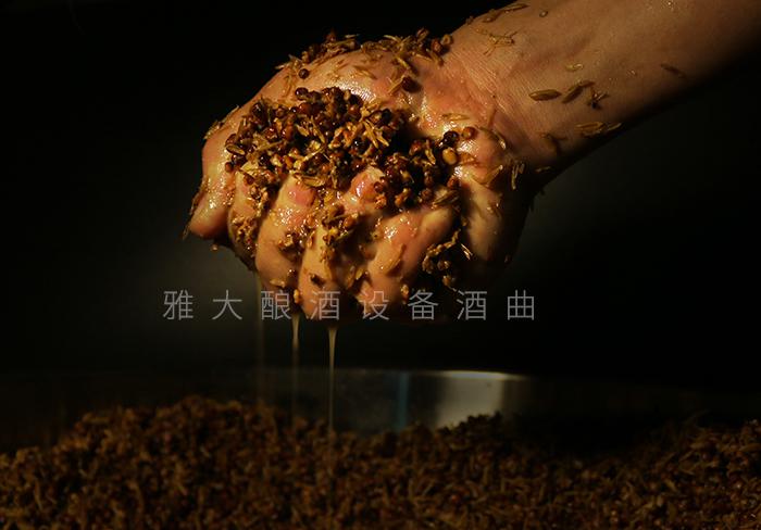 夏季用純糧釀酒設(shè)備做酒一不小心就變酸了,怎么辦? 4 夏季用純糧釀酒設(shè)備做酒一不小心就變酸了,怎么辦? 4