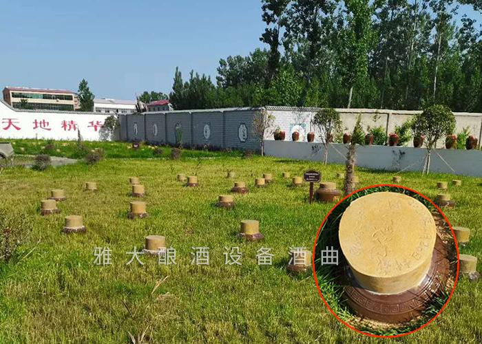開啟“種酒”全新白酒營銷模式,打造小型酒廠釀酒設備特色純糧窖藏酒坊! 7 開啟“種酒”全新白酒營銷模式,打造小型酒廠釀酒設備特色純糧窖藏酒坊! 7