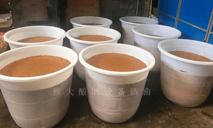沙棘果酒發酵6