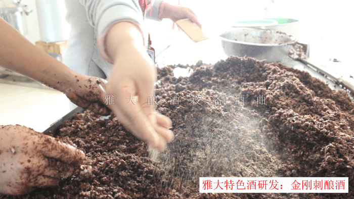 雅大學員在酒廠實操各種釀酒技術3