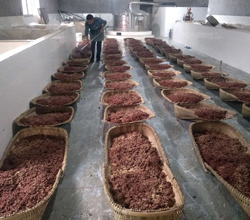 引進大型釀酒設備，用“釀”奏響脫貧致富的時代樂章
