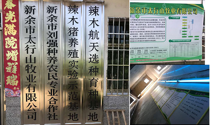 劉總的養殖基地