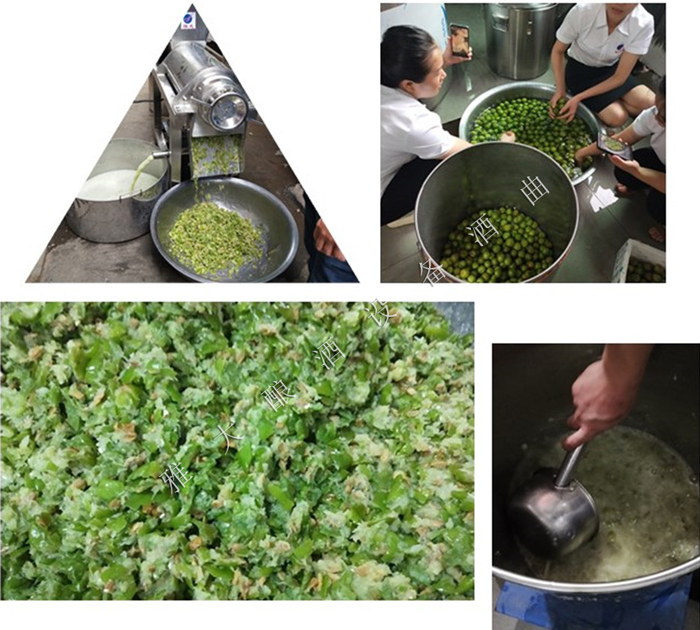夏季水果酒-奈李酒的研發與釀造