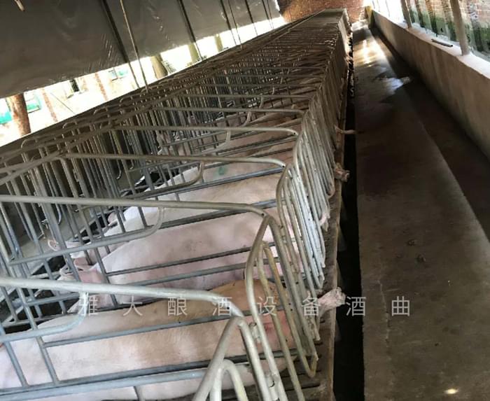 6.3劉總以前的養豬場
