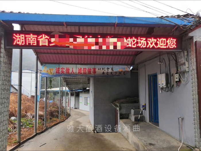 6.3張總以前的養蛇場