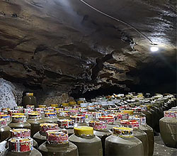引進(jìn)大型釀酒設(shè)備，酒旅融合，依托溶洞優(yōu)勢(shì)資源打造特色洞藏酒