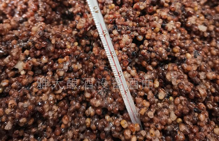 白酒釀造設(shè)備釀的白酒度數(shù)越高越辣?酒辣是什么原因引起的？