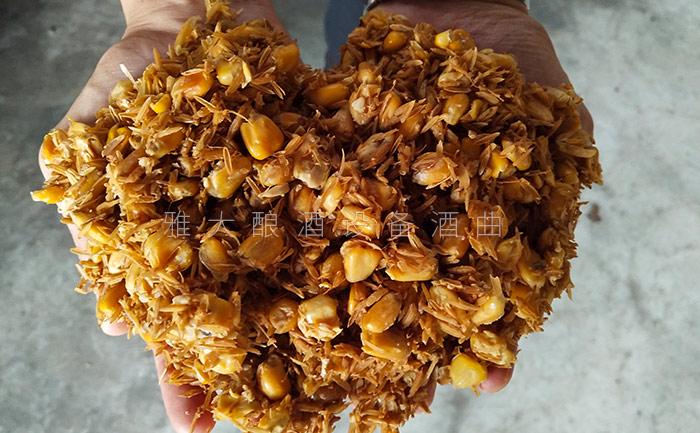 8.28玉米發(fā)酵完成后，玉米粒中無淀粉