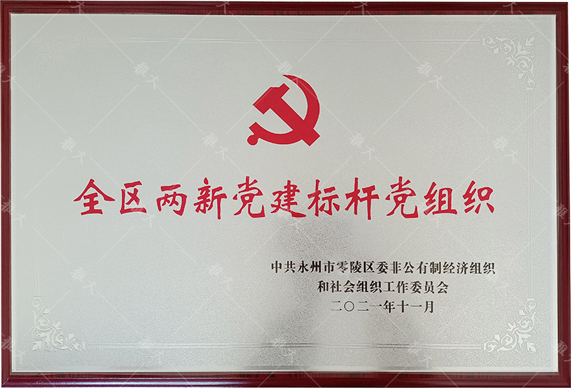 全區兩新黨建標桿黨組織-3