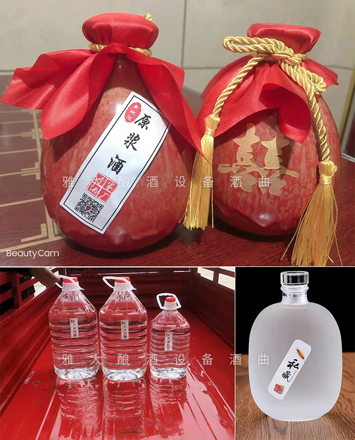 12.18致富新模式，用烤酒設備蒸酒后的酒糟飼養肉牛成本低，效益高-瓶裝酒