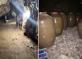 水田村引進中型釀酒設備釀酒養豬，強村富民促振興