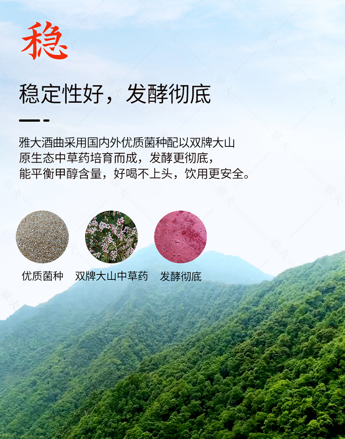 雅大酒曲穩定性好，發酵徹底