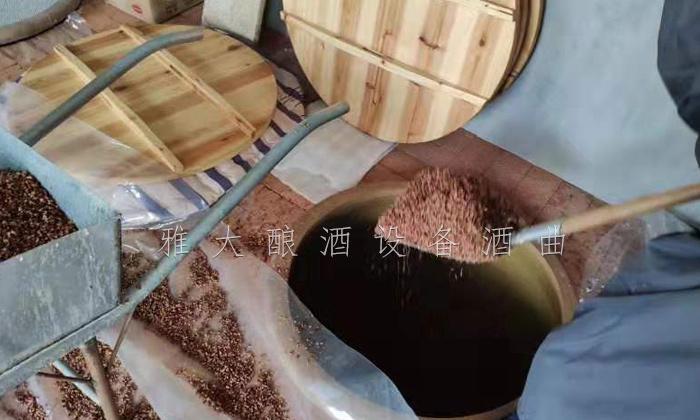 采用地缸發酵