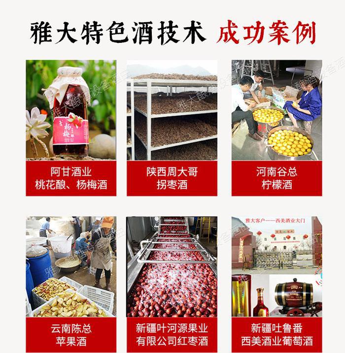 用大型釀酒設備釀造特色酒，提升酒坊競爭力！ 4