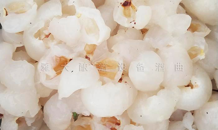 用果酒釀酒設備將荔枝釀成酒，提升果農利潤和市場競爭力 4