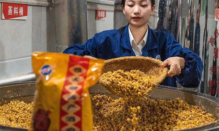 2024一個人就能干的小本創業項目——回鄉開酒坊 釀酒設備 2 3