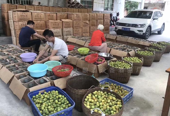 2024一個人就能干的小本創業項目——回鄉開酒坊 釀酒設備 7