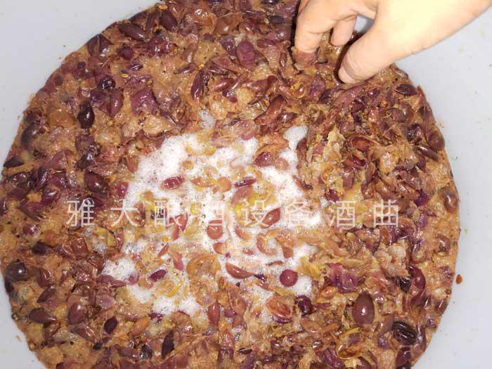 做強本土特色果酒產業，開辟果酒“新”賽道8