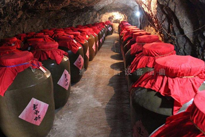 做強本土特色果酒產業，開辟果酒“新”賽道10