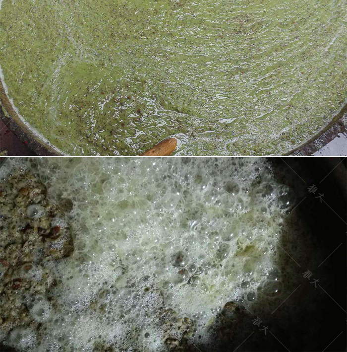 獼猴桃發酵
