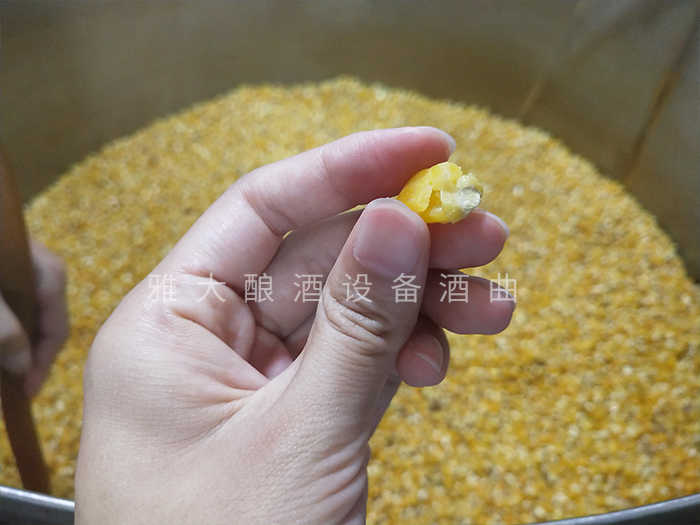 檢查糧食是否泡好