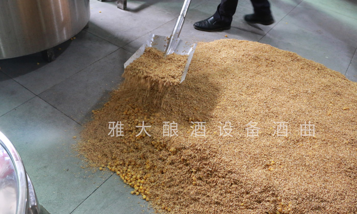 在表面蓋一層配糟和蒸熟的糠殼培菌糖化