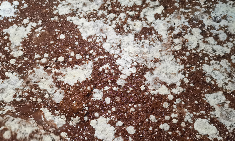 酒酸了別怪天氣！90%的春季酸敗，都是這5個衛生漏洞惹的禍 2