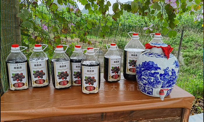桑葚“次果”變黃金！低成本釀熱銷果酒，增收秘訣看這里！ 1